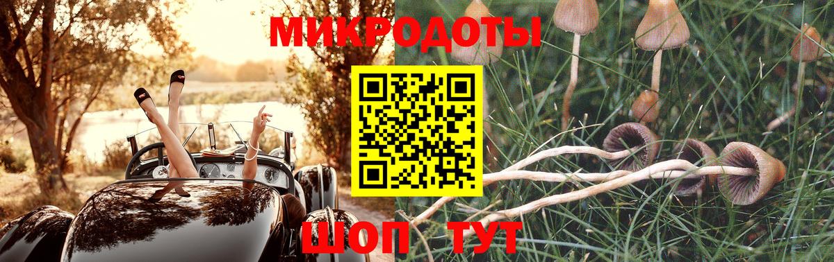 Псилоцибиновые грибы мухоморы Мичуринск